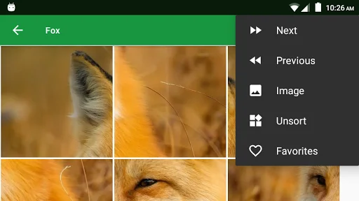 Download Wild Animals Puzzle Terbaru – Game Edukasi Anak Seru - Screenshot 7