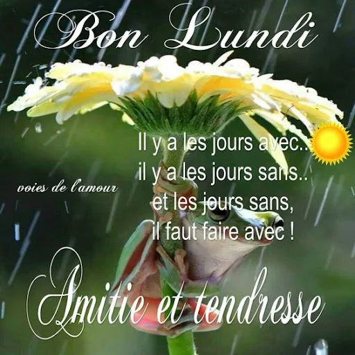 Download Bonjour Wallpaper Terbaru – Gambar Indah Setiap Hari - Screenshot 4