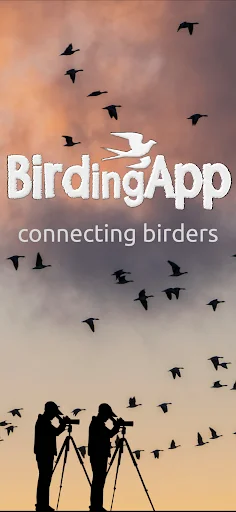 Download BirdingApp Terbaru – Pantau Burung Langka & Komunitas - Screenshot 3