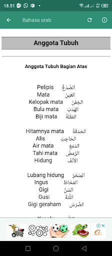 Download Percakapan Bahasa Arab Terbaru – Belajar Lancar Gratis - Screenshot 14