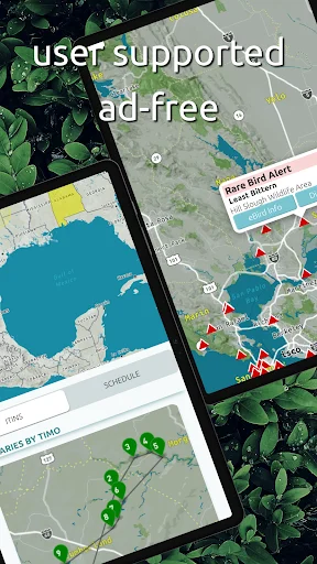 Download BirdingApp Terbaru – Pantau Burung Langka & Komunitas - Screenshot 11