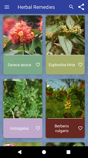 Download Herbal Remedies Terbaru – Panduan Tanaman Obat Gratis - Screenshot 1