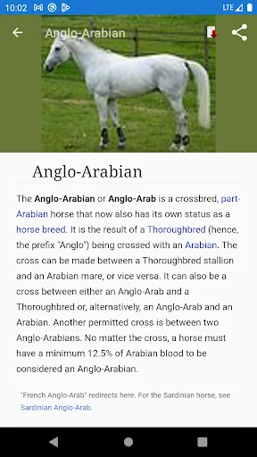 Download Horse breeds – Photos Terbaru – Panduan Kuda Lengkap - Screenshot 2