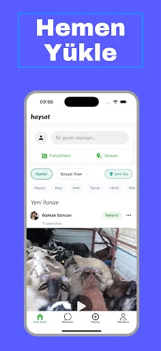 Download Haysat Terbaru – Aplikasi Jual Beli Ternak Terpercaya - Screenshot 4