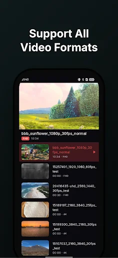 Download VidMax Terbaru – Pemutar Video Privat & Aman - Screenshot 3
