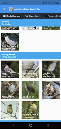 Unduh Australian Birds Sounds Pro – Koleksi Suara Burung Australia - Screenshot 2