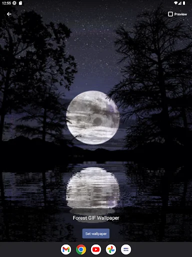 Download Forest GIF Wallpaper Terbaru – Wallpaper Estetik Gratis - Screenshot 14