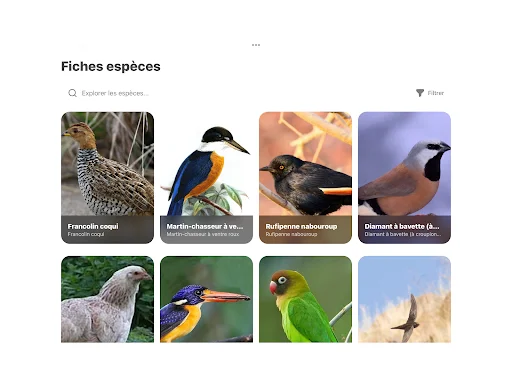 Download Oiseaux2France Terbaru – Komunitas Pecinta Burung - Screenshot 20