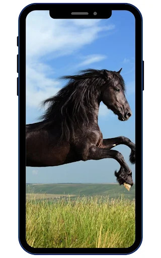 Unduh Horse Wallpapers Terbaru – Koleksi Gambar Kuda HD Gratis - Screenshot 2