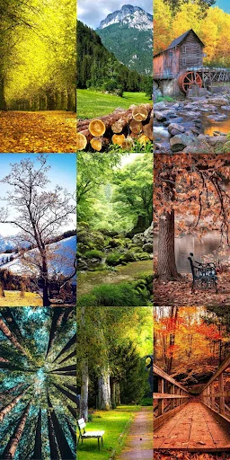 Download Nature Escape HD Wallpapers – Background Alam Gratis - Screenshot 14