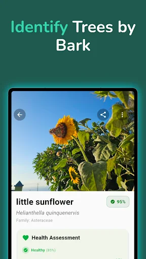 Download TreeBarkID Terbaru – Identifikasi Pohon via Foto Gratis - Screenshot 6