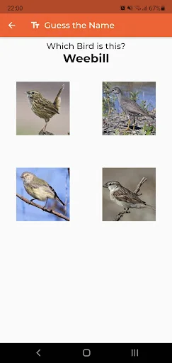 Unduh Australian Birds Sounds Pro – Koleksi Suara Burung Australia - Screenshot 8