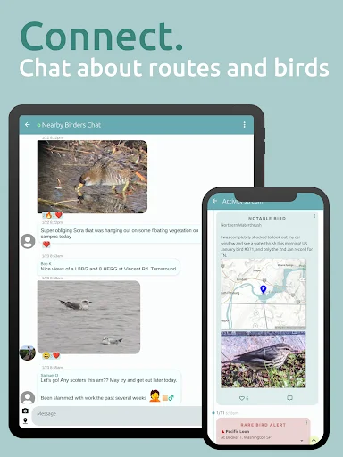 Download BirdingApp Terbaru – Pantau Burung Langka & Komunitas - Screenshot 14