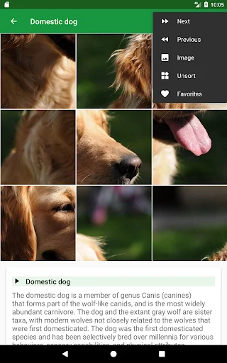 Download Dogs Puzzle Terbaru – Game Teka-Teki Anjing Seru Gratis - Screenshot 12