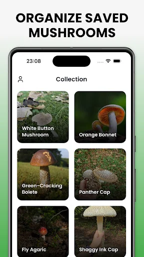 Download Mushroom Identifier Mushby Terbaru – Deteksi Jamur AI - Screenshot 7