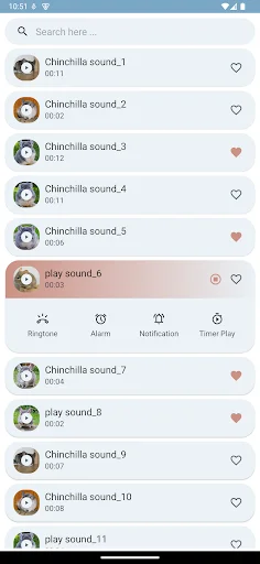 Download Suara Chinchilla Terbaru – Nada Dering Lucu Gratis - Screenshot 5