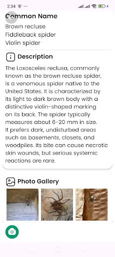Download Spider Identifier Versi Terbaru – Identifikasi Laba-laba - Screenshot 13