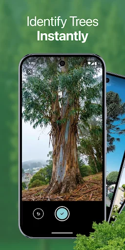 Download TreeBarkID Terbaru – Identifikasi Pohon via Foto Gratis - Screenshot 1