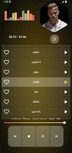 Download Lagu Silawi Terbaru 2025 Offline – Musik Gratis & Lengkap - Screenshot 5