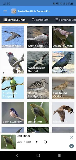 Unduh Australian Birds Sounds Pro – Koleksi Suara Burung Australia - Screenshot 1