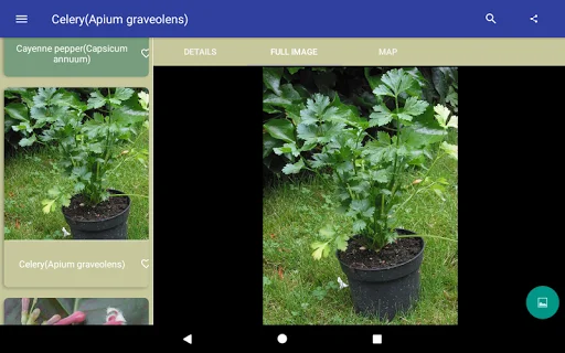 Download Herbal Remedies Terbaru – Panduan Tanaman Obat Gratis - Screenshot 5