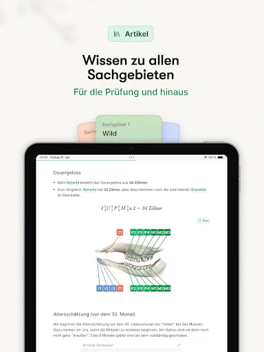 Download Waidwissen Jagdschein App – Lulus Ujian Berburu 95.3% - Screenshot 10