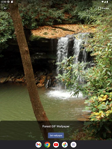 Download Forest GIF Wallpaper Terbaru – Wallpaper Estetik Gratis - Screenshot 9