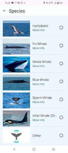 Download Whale Alert Terbaru – Pantau Paus & Cegah Tabrakan Kapal - Screenshot 6