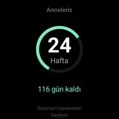 Download Anne Asistanı: Panduan Kehamilan & Pelacak Bayi Terbaru - Screenshot 8
