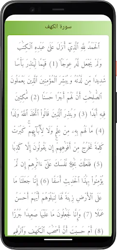 Download Murottal Syekh Muhammad Siddiq Al-Minshawi – Gratis - Screenshot 12