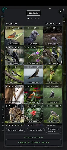 Download FO Gallery Terbaru – Gambar Resolusi Tinggi Gratis - Screenshot 9
