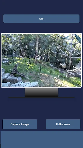 Download Animal Live Cams Terbaru – Tonton Satwa Liar Gratis - Screenshot 4