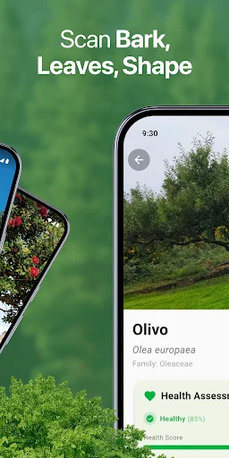 Download TreeBarkID Terbaru – Identifikasi Pohon via Foto Gratis - Screenshot 2