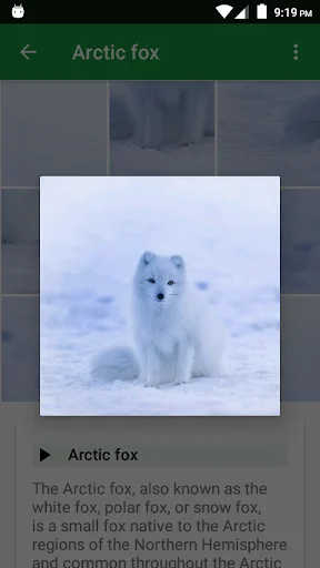 Download Dogs Puzzle Terbaru – Game Teka-Teki Anjing Seru Gratis - Screenshot 3