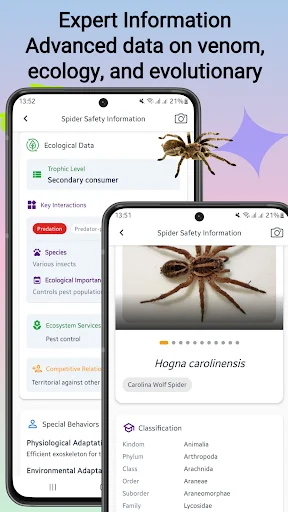Download Spider Identifier Versi Terbaru – Identifikasi Laba-laba - Screenshot 5
