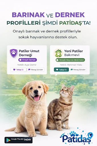 Download Patidaş Terbaru – Aplikasi Adopsi & Perawatan Hewan - Screenshot 8