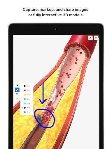 Download BioDigital Human 3D Anatomy Terbaru – Belajar Anatomi - Screenshot 17