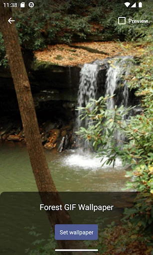 Download Forest GIF Wallpaper Terbaru – Wallpaper Estetik Gratis - Screenshot 2