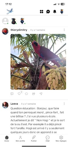 Download Oiseaux2France Terbaru – Komunitas Pecinta Burung - Screenshot 2