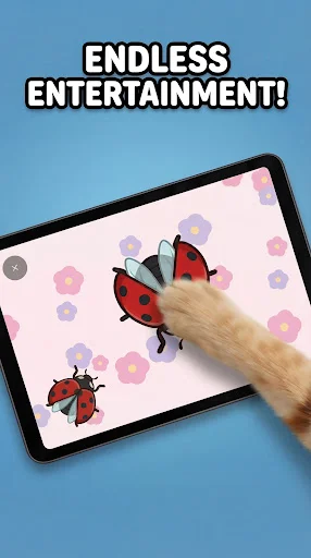 Unduh Games for Cats – Mainan Kucing Terbaru – Gratis Sekarang - Screenshot 14