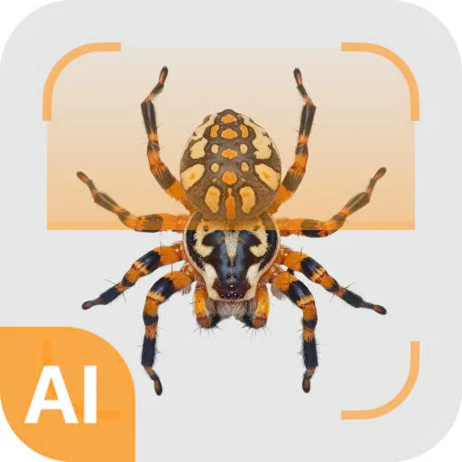 Download Spider Identifier Versi Terbaru – Identifikasi Laba-laba