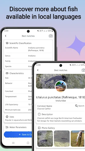 Unduh Fish Identifier APK – Identifikasi Spesies Ikan Instan - Screenshot 2