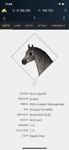 Download NOBLE HORSE CHAMPION Terbaru – Game Kuda Gratis - Screenshot 1