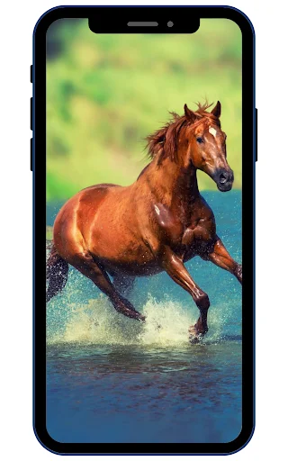 Unduh Horse Wallpapers Terbaru – Koleksi Gambar Kuda HD Gratis - Screenshot 1