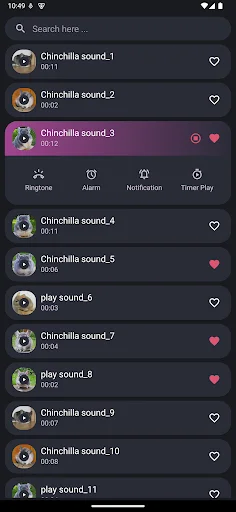 Download Suara Chinchilla Terbaru – Nada Dering Lucu Gratis - Screenshot 2