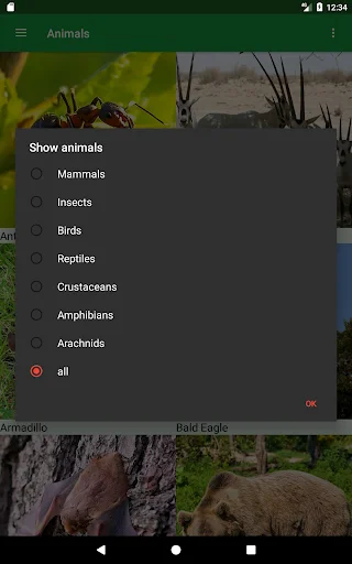 Download Wild Animals Puzzle Terbaru – Game Edukasi Anak Seru - Screenshot 14