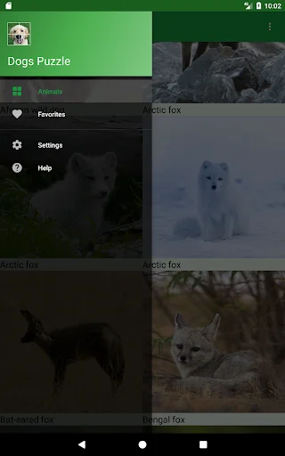 Download Dogs Puzzle Terbaru – Game Teka-Teki Anjing Seru Gratis - Screenshot 13
