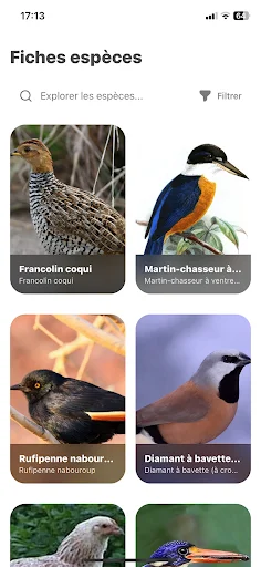 Download Oiseaux2France Terbaru – Komunitas Pecinta Burung - Screenshot 5