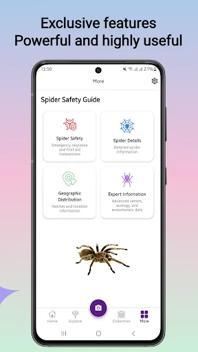 Download Spider Identifier Versi Terbaru – Identifikasi Laba-laba - Screenshot 3