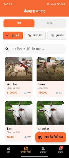 Download Bailgada Sharyat Terbaru – Nonton Balap Langsung Gratis - Screenshot 2